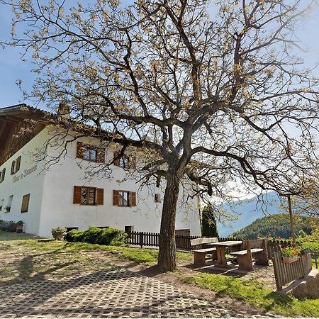 Moar Im Rumsein - Apt Saltenblick Terlano Dış mekan fotoğraf